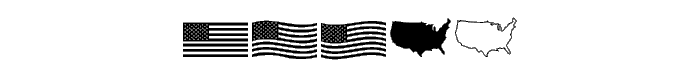 US Flag police